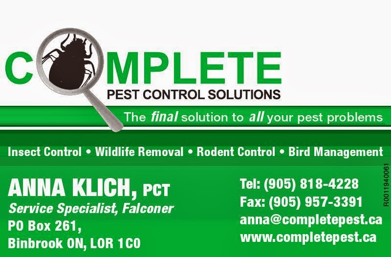 Complete Pest Control Solutions Inc. | 2621 Hwy 56, Binbrook, ON L0R 1C0, Canada | Phone: (905) 818-4228