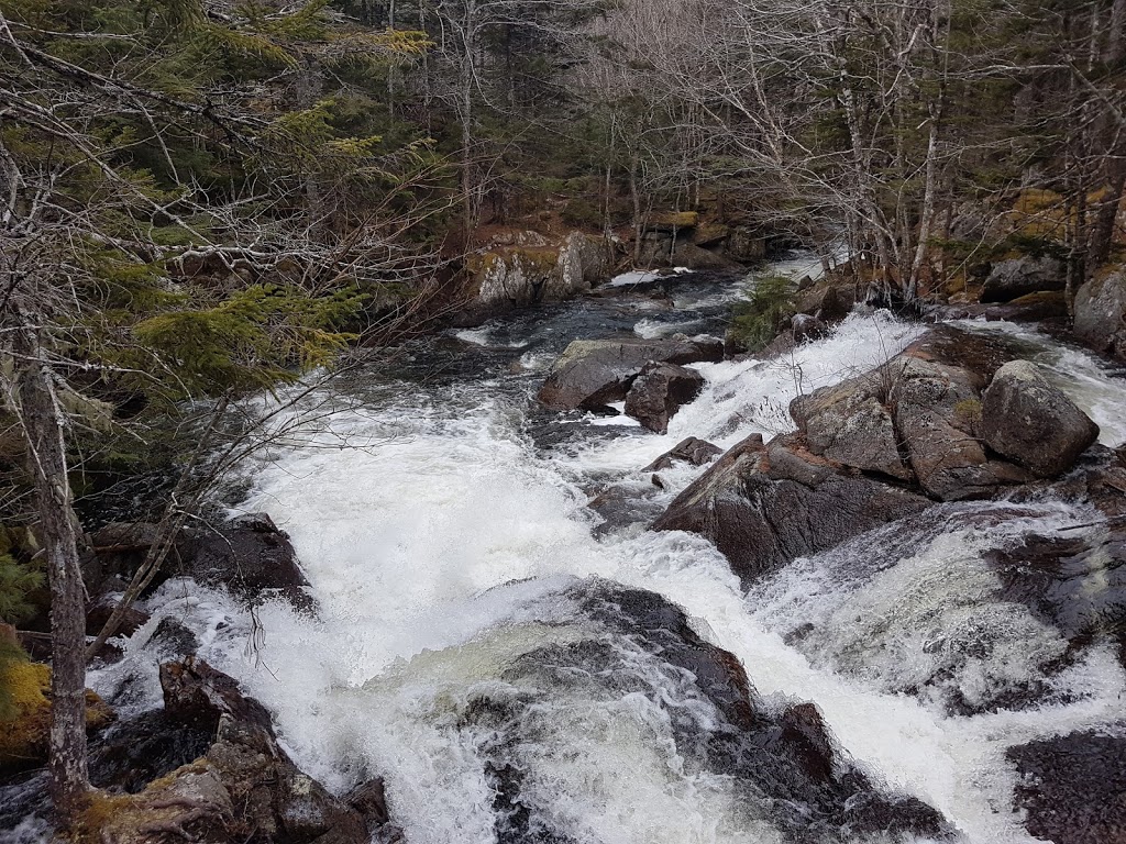 Pockwock River Falls | Halifax, NS B4B 1P2, Canada