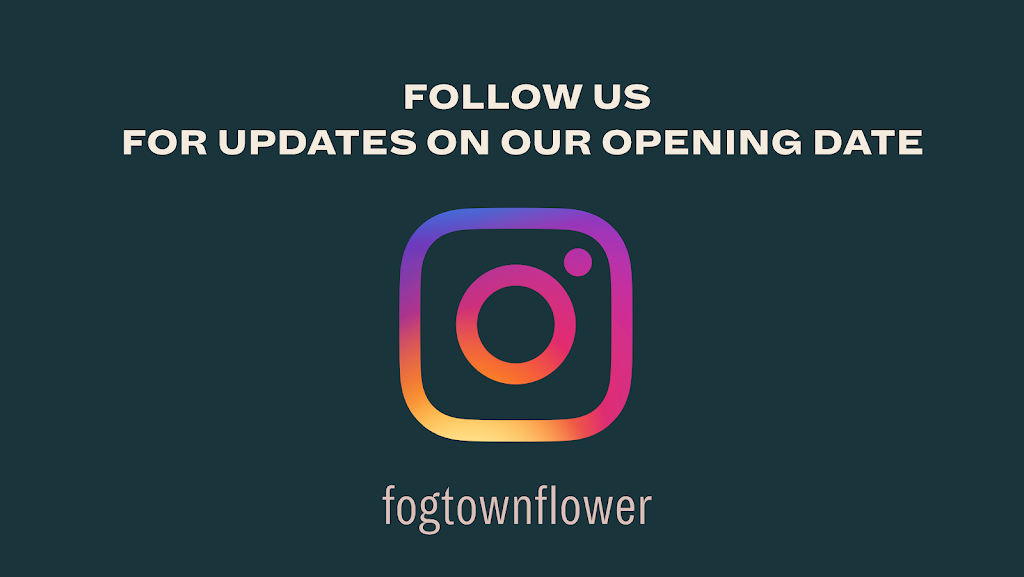 Fogtown Flower Shop | 2152 Yonge St, Toronto, ON M4S 2A8, Canada | Phone: (416) 533-7523