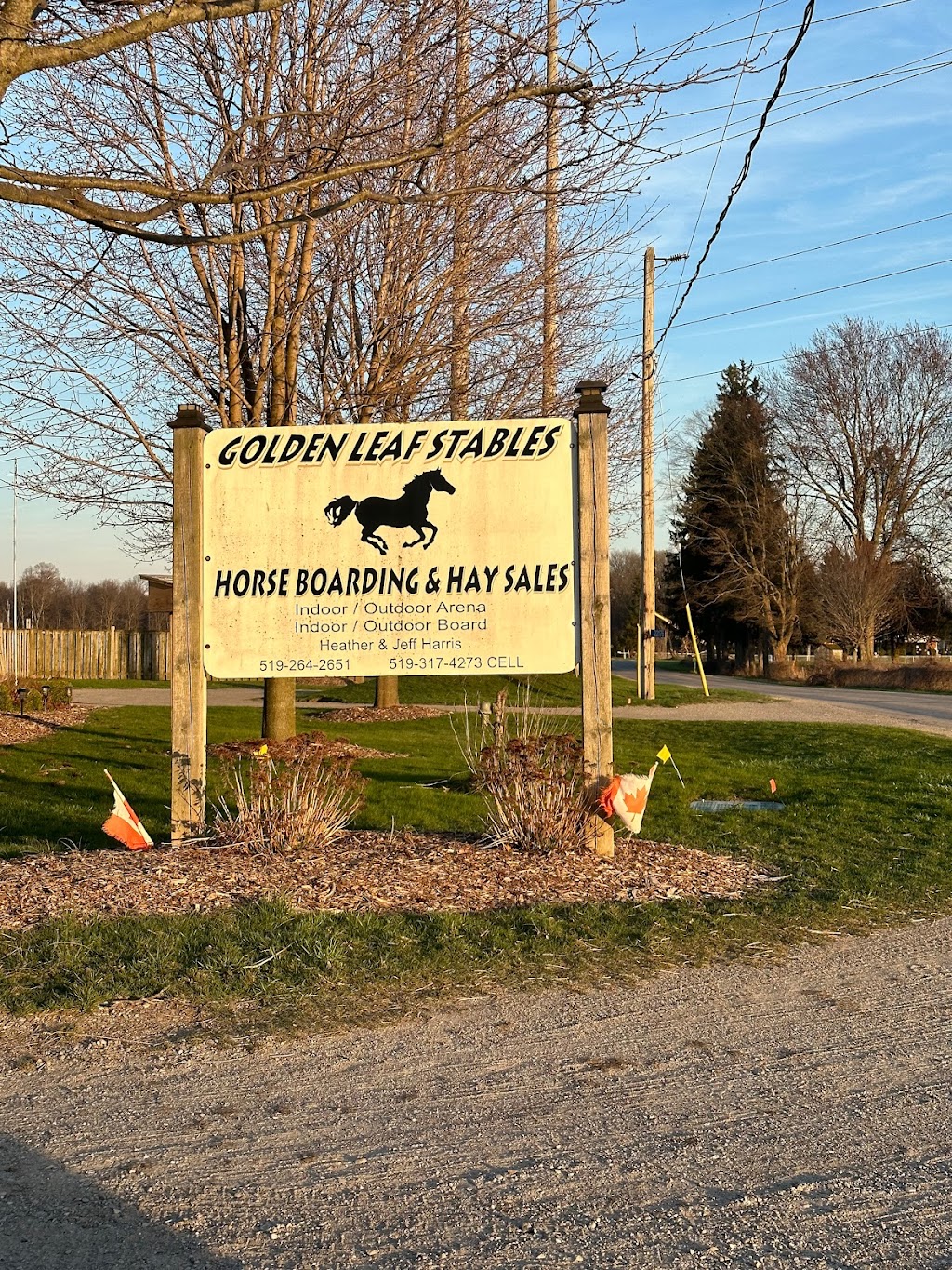 Golden Leaf Stables | 22176 Mill Rd, Mount Brydges, ON N0L 1W0, Canada | Phone: (519) 317-4273