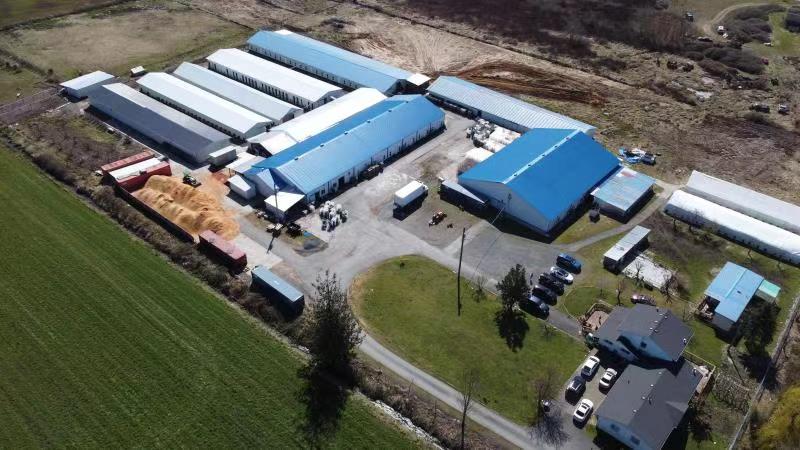 Friendship Specialty Mushroom Farm | 8110 Upper Prairie Rd, Chilliwack, BC V2P 6H3, Canada | Phone: (778) 389-1818