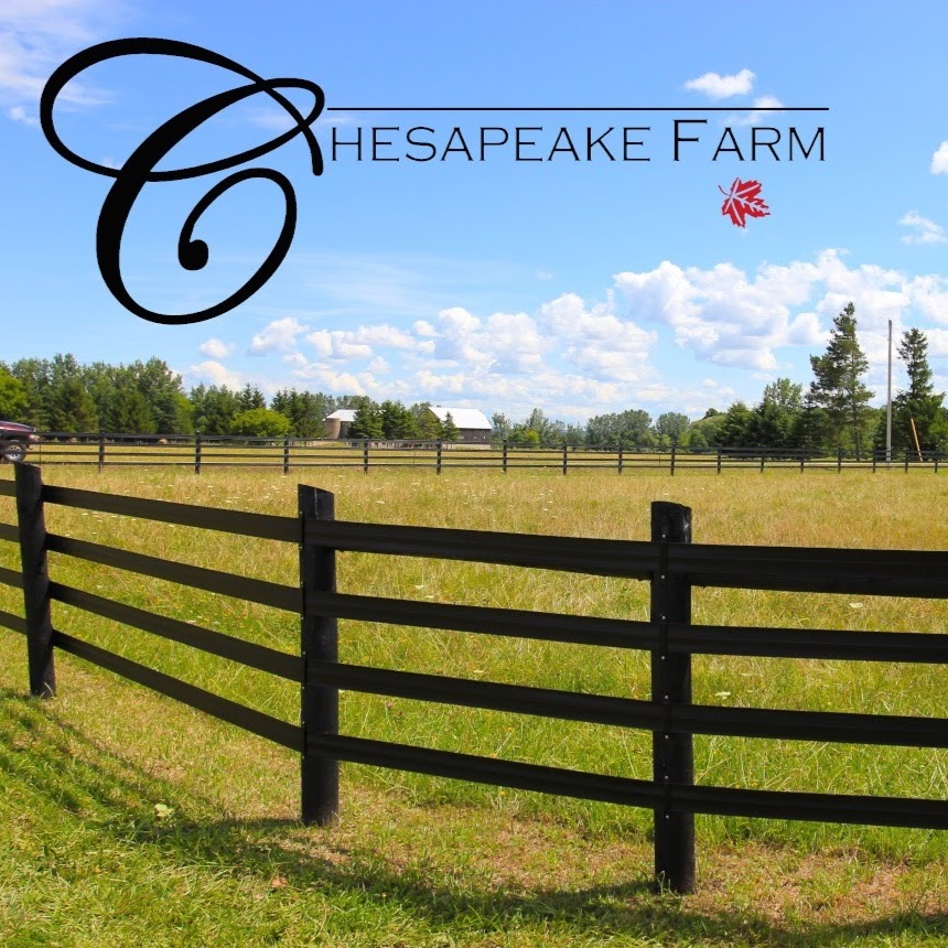 Chesapeake Farm Canada | 4159 Concession Rd 9 Sunnidale, Stayner, ON L0M 1S0, Canada | Phone: (705) 428-0352