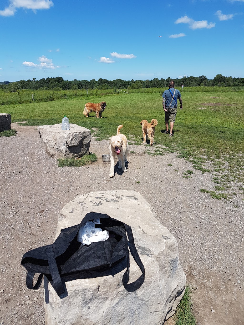 North Whitby Off-Leash Dog Park | 5001-, 5617 Cochrane St, Whitby, ON L1P 2A3, Canada