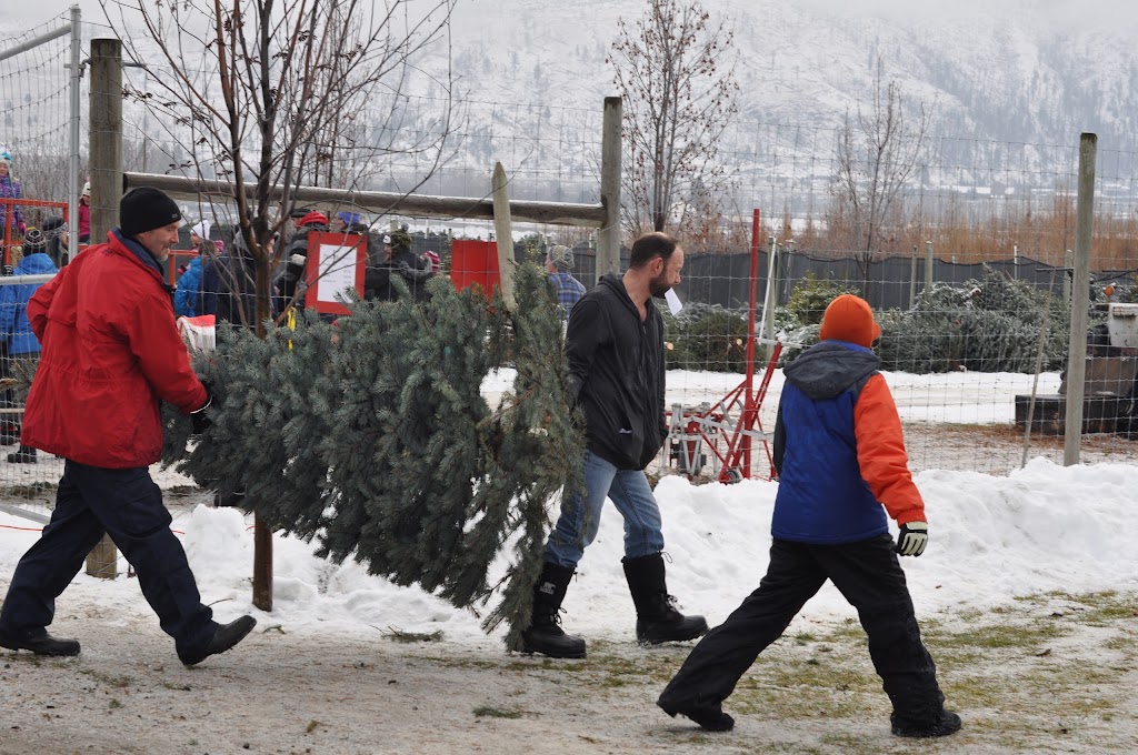 Woodward Christmas Tree Farm | 5505 Westsyde Rd, Kamloops, BC V2B 8N5, Canada | Phone: (250) 579-8739