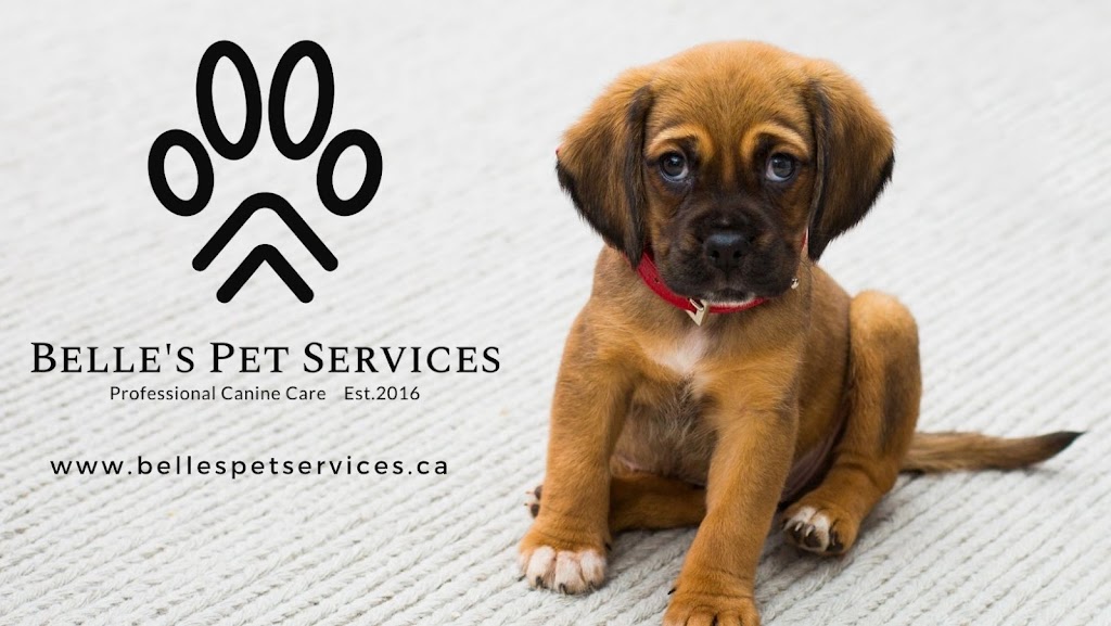 Belles Pet Services | 201 Belleville Rd, Napanee, ON K7R 2R4, Canada | Phone: (613) 929-6340