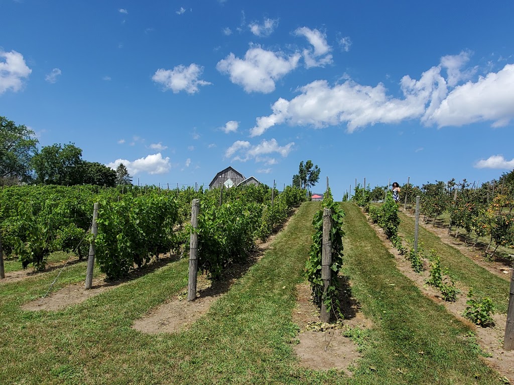 The County Cider Company - Tasting Room | 657 Bongards Crossroad, Waupoos, ON K0K 2T0, Canada | Phone: (613) 476-1022