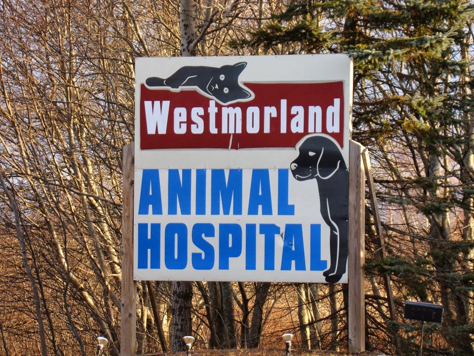 Westmorland Animal Hospital | 5 Robson Ave, Sackville, NB E4L 4H9, Canada | Phone: (506) 536-0999