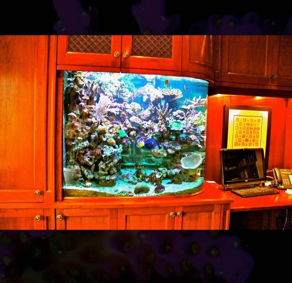 Coral Reefs & Aquariums | 20 Davenrich Ct, Brampton, ON L6Z 1N6, Canada | Phone: (905) 794-2224