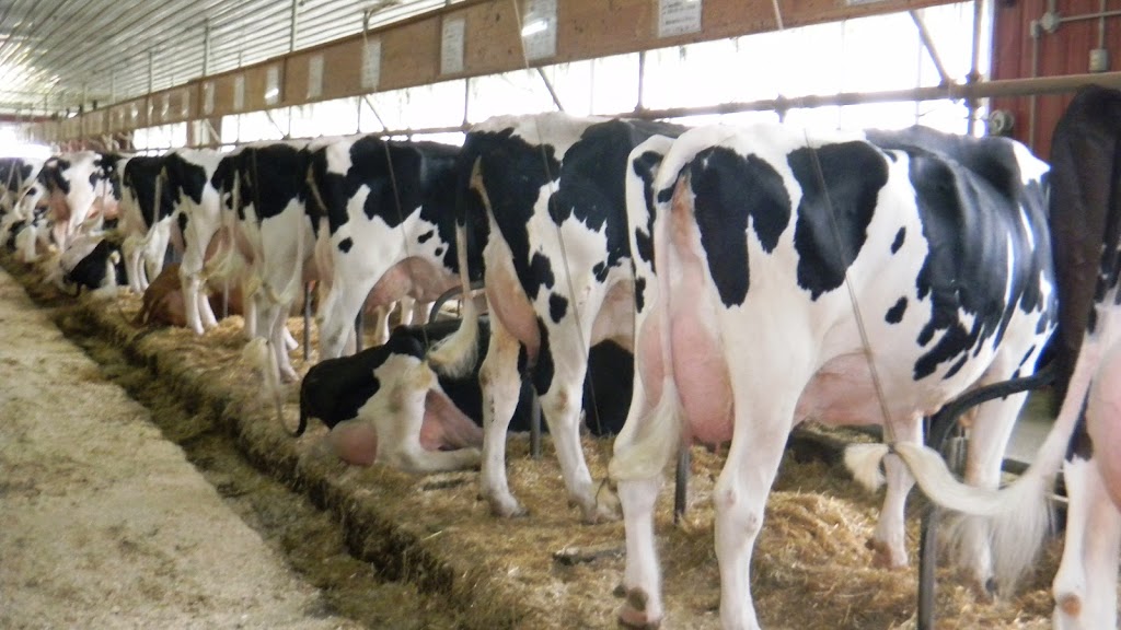 Ferme Provetaz | 411 Chem. Léon-Gérin, Compton, QC J0B 1L0, Canada | Phone: (819) 849-9456