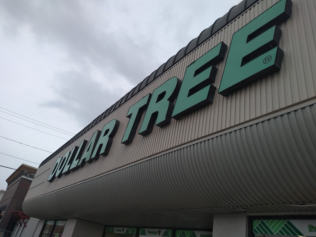 Dollar Tree | 1551 Niagara Falls Blvd, Buffalo, NY 14228, USA | Phone: (716) 515-4088