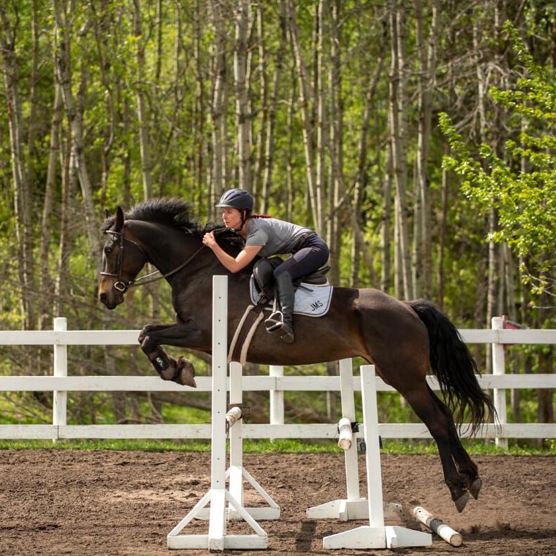 Full Motion Advantage - Equine | RR1, Busby, AB T0G 0H0, Canada | Phone: (780) 720-3448