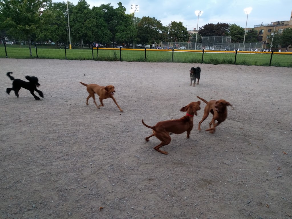 Stanley Off Leash Dog Park | 700 Wellington St W, Toronto, ON M5V 1G7, Canada | Phone: (416) 338-4386