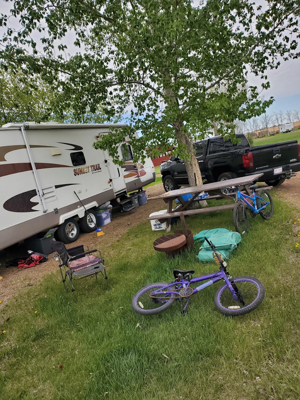 Delia Diamond Anniversary Campground | 202 1 Ave NE, Delia, AB T0J 0W0, Canada | Phone: (403) 364-3787