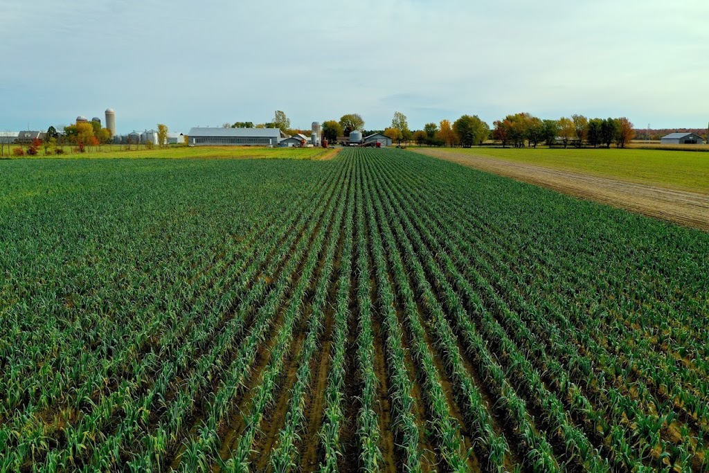 Ferme de lodyssée | de, 845 Rang du Petit Saint Esprit, Sainte-Monique, QC J0G 1N0, Canada | Phone: (819) 448-2383