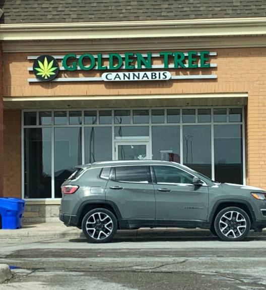 Golden Tree Cannabis | 10671 Chinguacousy Rd, Brampton, ON L7A 0N5, Canada | Phone: (905) 495-6454