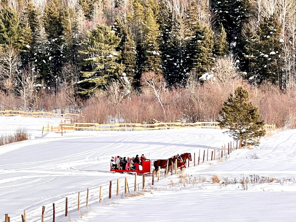 Les Montagnards de Charlevoix | Randonnée équestre | 652 Chemin St Laurent, Baie-Saint-Paul, QC G3Z 2L7, Canada | Phone: (418) 580-7816