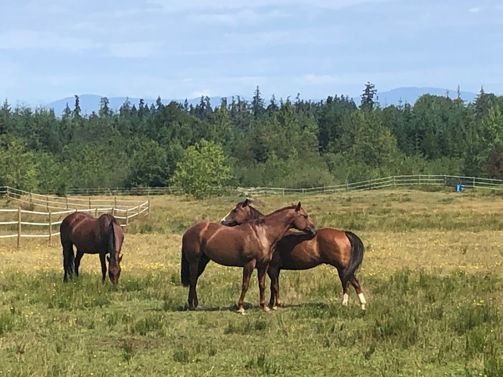 Emerald Acres Horse Boarding | 2517 Alberni Hwy, Coombs, BC V0R 1M0, Canada | Phone: (250) 228-8387