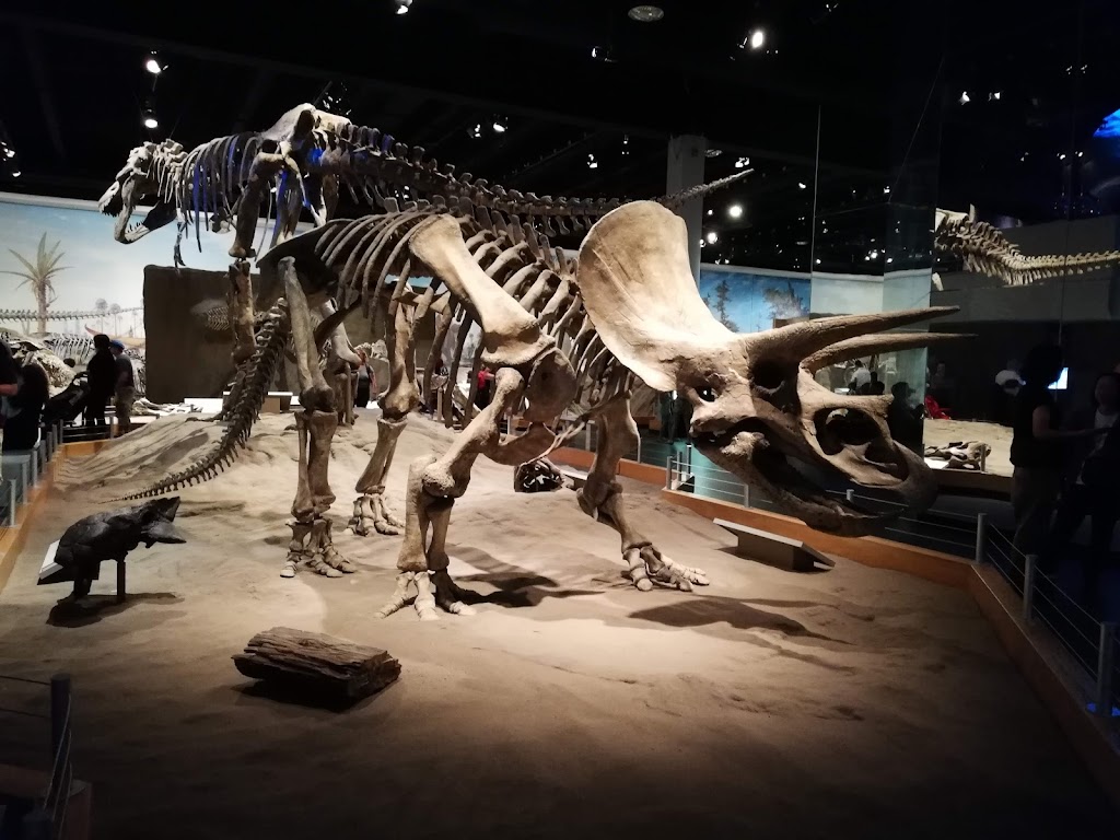 Royal Tyrrell Museum | 1500 N Dinosaur Trail, Drumheller, AB T0J 0Y0, Canada | Phone: (403) 823-7707