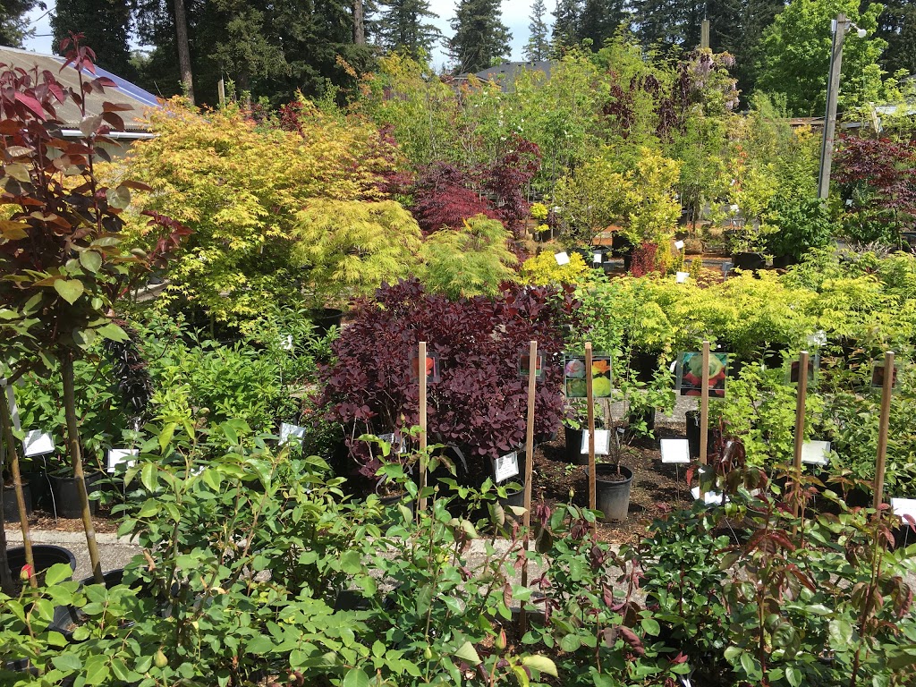 De Wildes Nurseries Inc | 3410 Northwest Ave, Bellingham, WA 98225, USA | Phone: (360) 733-8190