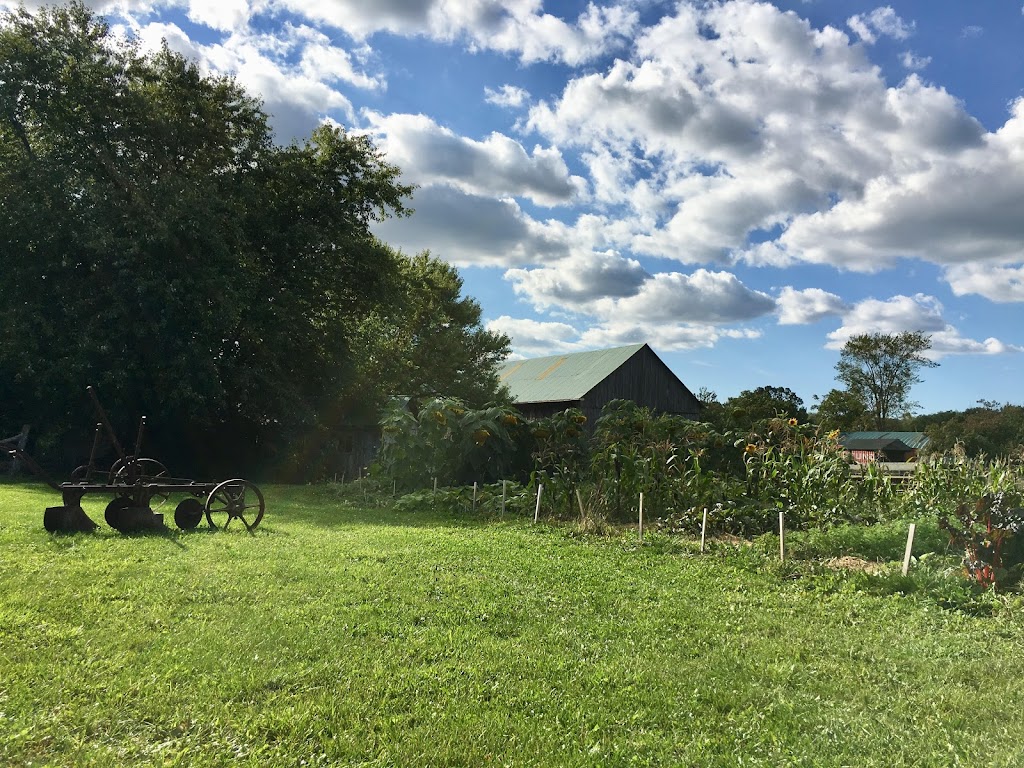 Willowgrove Farm, Day Camp, and Nature School | 11737 McCowan Rd, Whitchurch-Stouffville, ON L4A 4C3, Canada | Phone: (905) 640-2127