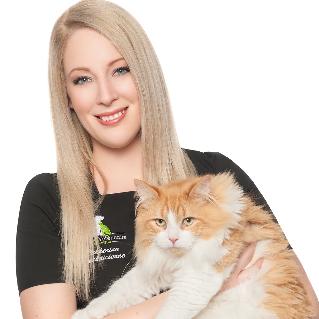 Clinique Veterinaire Vaudreuil | 463 Avenue Saint-Charles, Vaudreuil-Dorion, QC J7V 2N5, Canada | Phone: (450) 218-9090