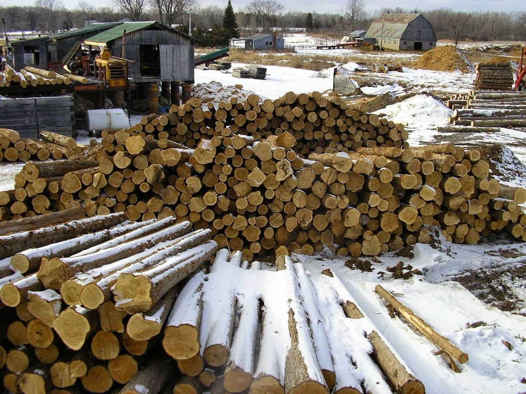 Empey Logs & Lumber | 165 Spring Brook Rd, Madoc, ON K0K 2K0, Canada | Phone: (613) 473-1807