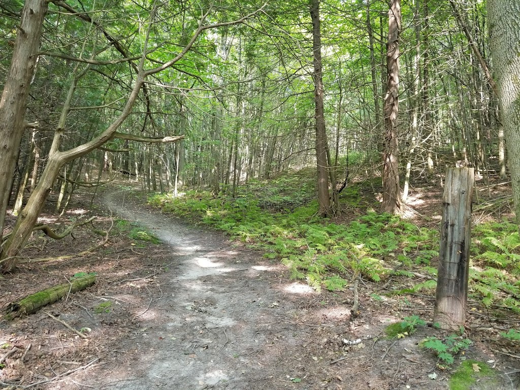 Glen Major Forest | Uxbridge, ON L0C, Canada