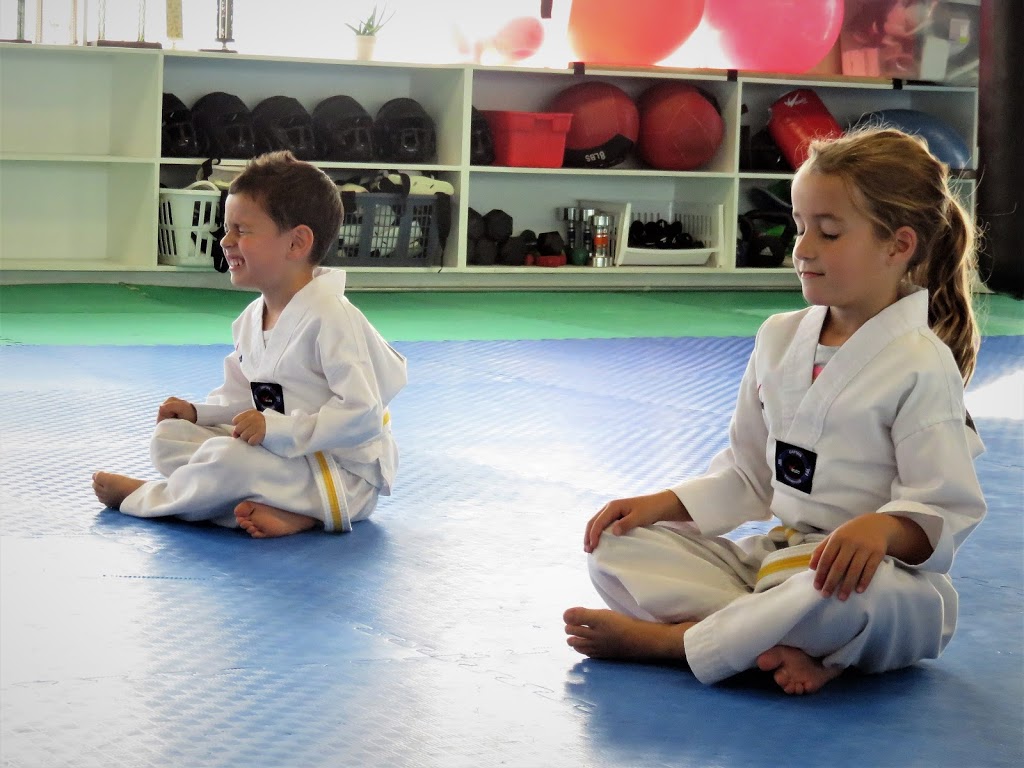 Masters Taekwondo Academy | 25 Amy Croft Dr Unit #35, Windsor, ON N9K 1C7, Canada | Phone: (519) 979-8288