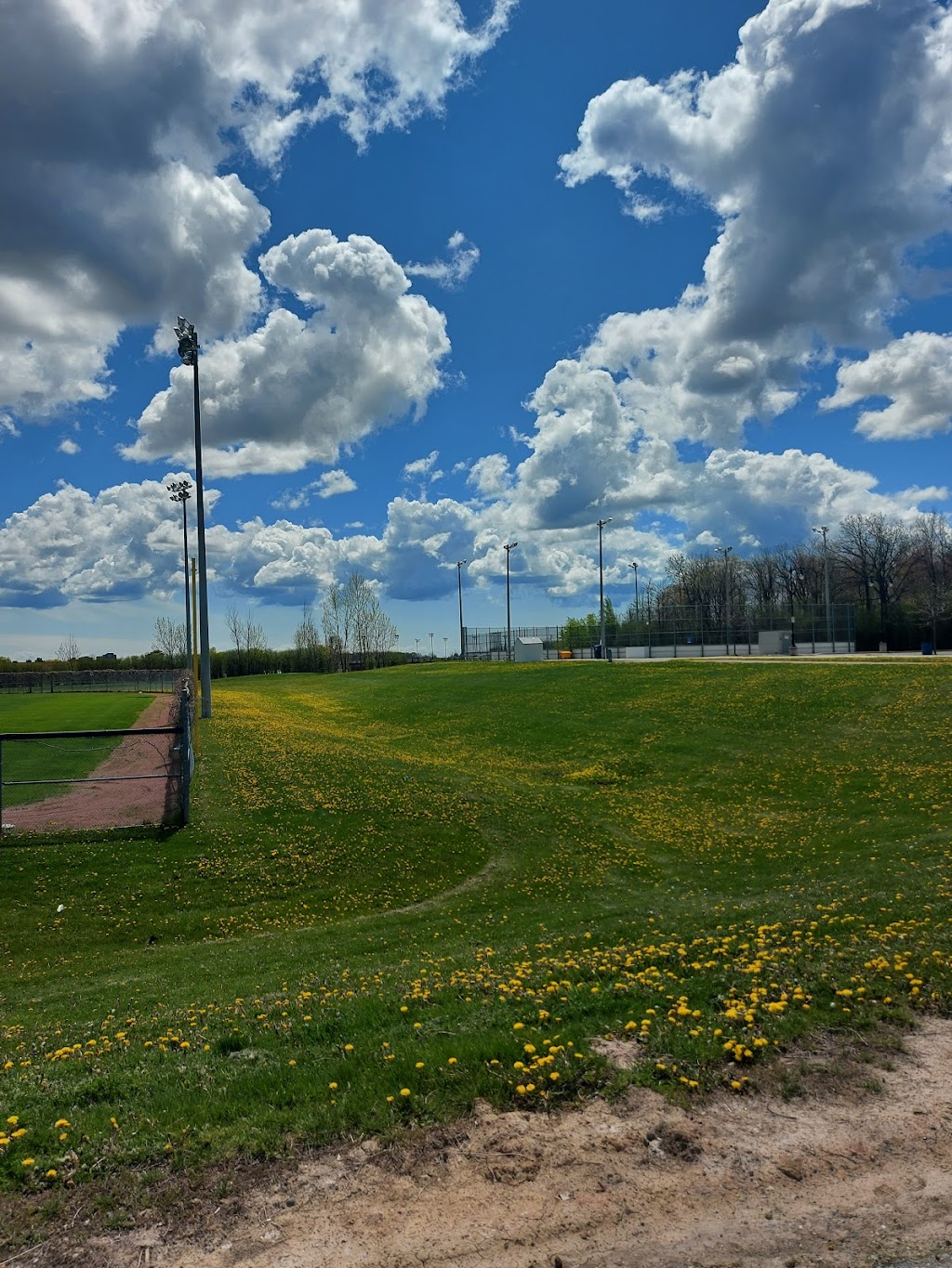 Flower City Lawn Bowling Facility | 8910 McLaughlin Rd S, Brampton, ON L6Y 4Z5, Canada | Phone: (905) 874-3500