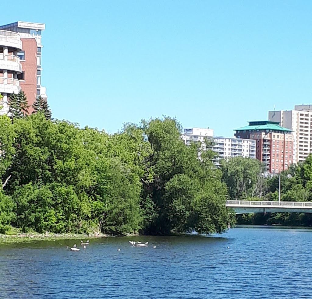 Stanley Park - Calisthenics Area | New Edinburgh, Ottawa, ON K1M 1P2, Canada