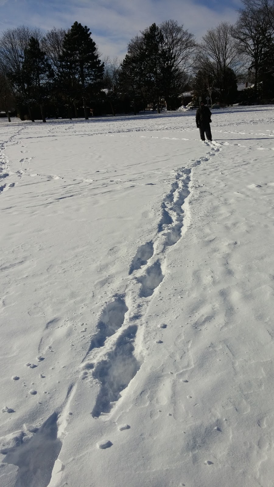 Central Park Labyrinth | 2299 New St, Burlington, ON L7R 1J5, Canada