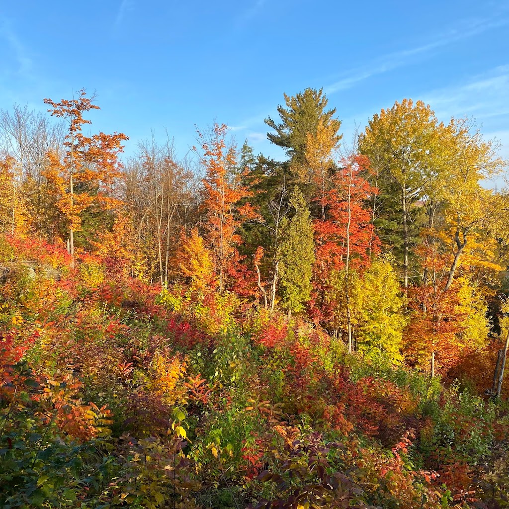 Belvédère des Chutes de Shawinigan | Chem. des Chutes, Shawinigan-Sud, QC G9N 6V1, Canada | Phone: (855) 525-4166