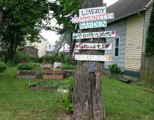 Lovejoy Discovery Garden - BPS 43 | 157 Gold St, Buffalo, NY 14206, USA | Phone: (716) 783-9653