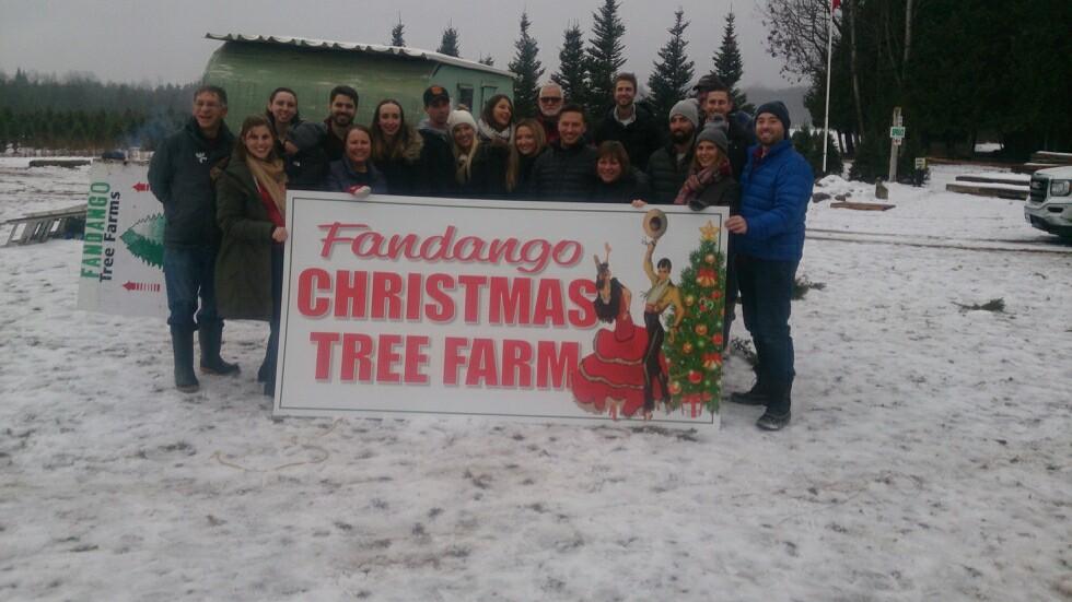 Fandango Christmas Tree Farm | 954208 7 Line EHS, Orangeville, ON L9W 6E9, Canada | Phone: (416) 970-5473