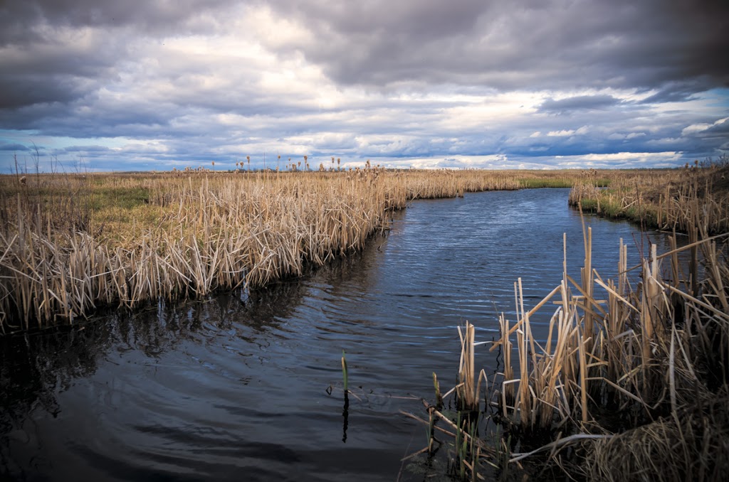 Beaverhill Lake Natural Area | Beaver County, AB T0B, Canada | Phone: (780) 679-1215