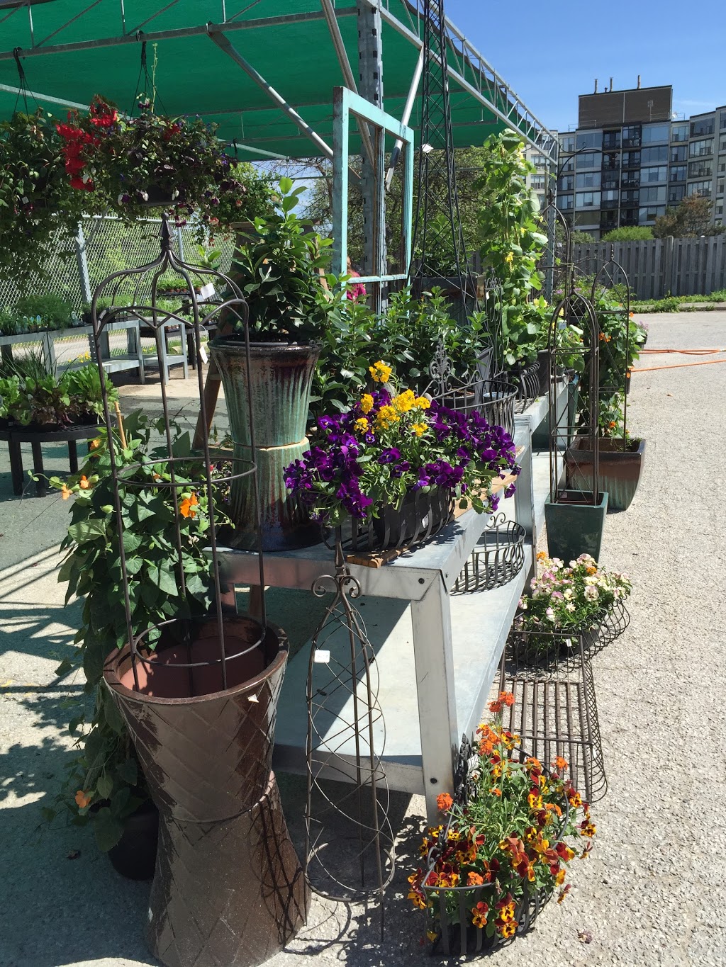 Fleuristic Garden and Flower Studio | 739 Woolwich St, Guelph, ON N1H 3Z2, Canada | Phone: (519) 265-3000