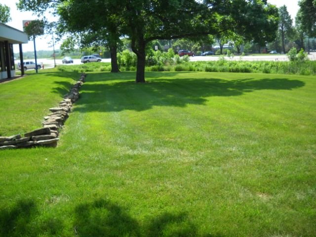 Commendable Care Lawn and Snow Removal | Bovaird Dr W, Brampton, ON L7A 0H6, Canada | Phone: (905) 226-1108