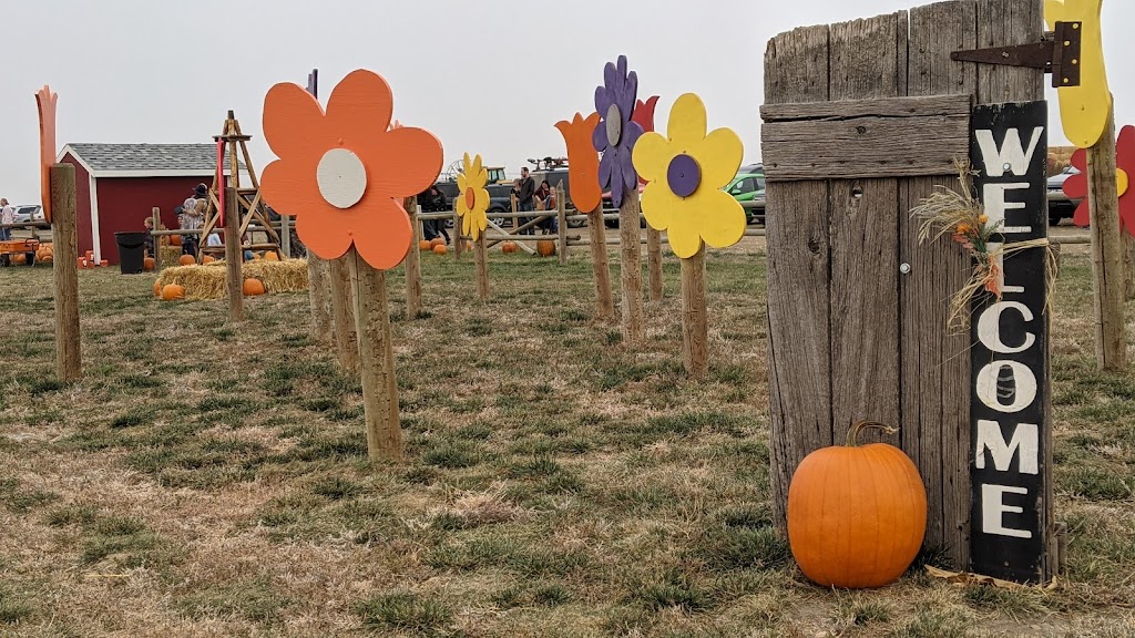 Molnars Pumpkin Festival | Range Rd 173, Barnwell, AB T0K 0B0, Canada | Phone: (403) 315-0728