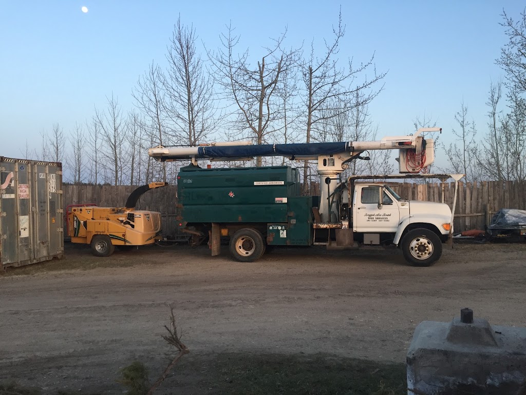 Ragged Ass Road Tree Services Red Deer | 7412 42 Ave, Red Deer, AB T4P 4C2, Canada | Phone: (403) 341-2389