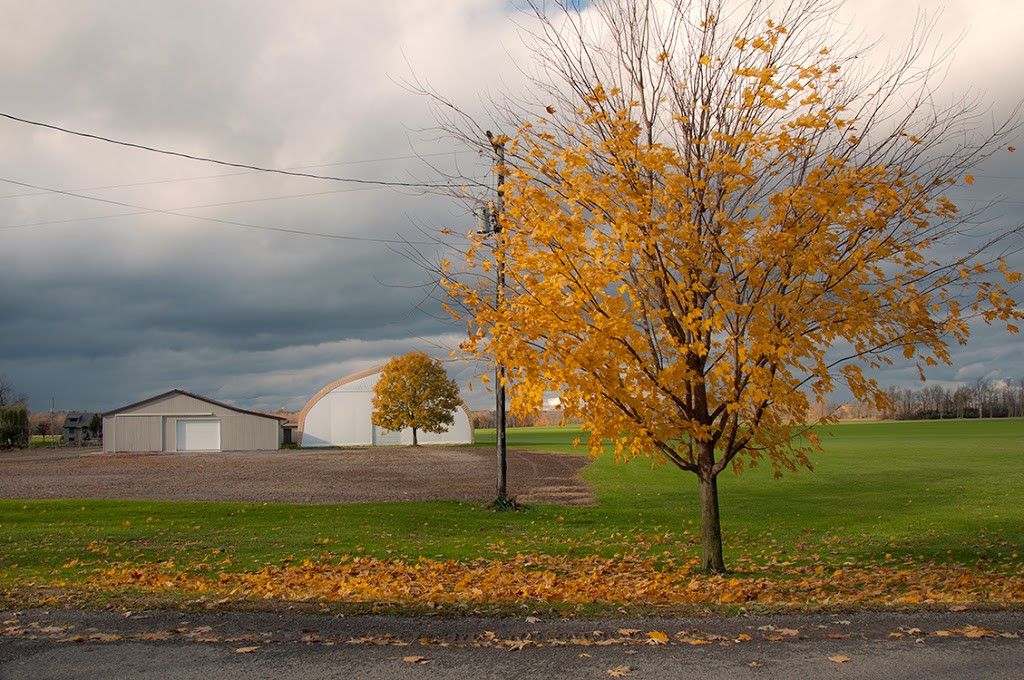 Willowlee Sod Farms Limited | 907 Victoria Rd, Ameliasburgh, ON K0K 1A0, Canada | Phone: (613) 966-0338