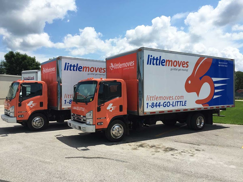 Little Moves | 98 Sluse Rd, Holland Landing, ON L9N 1G8, Canada | Phone: (905) 853-9899