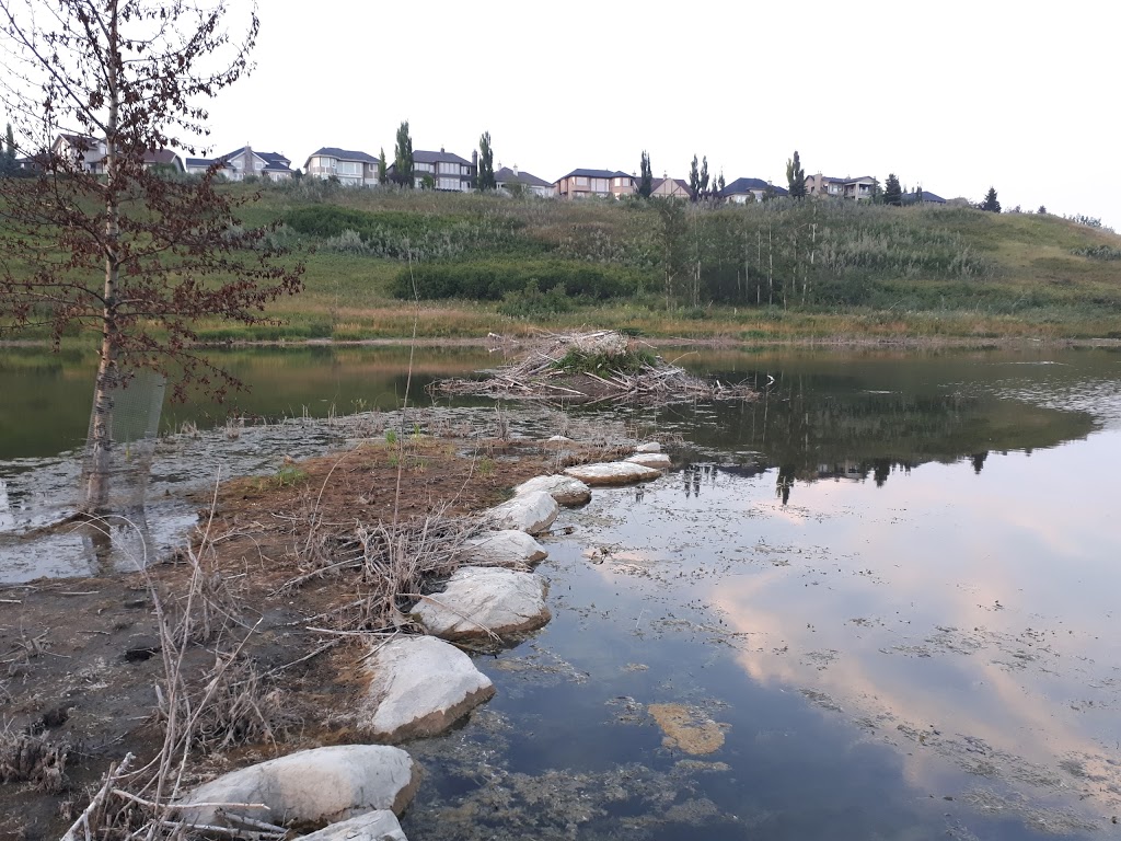 Discovery Ridge Ponds Calgary | Discovery Ridge Link SW, Calgary, AB T3H 5H3, Canada