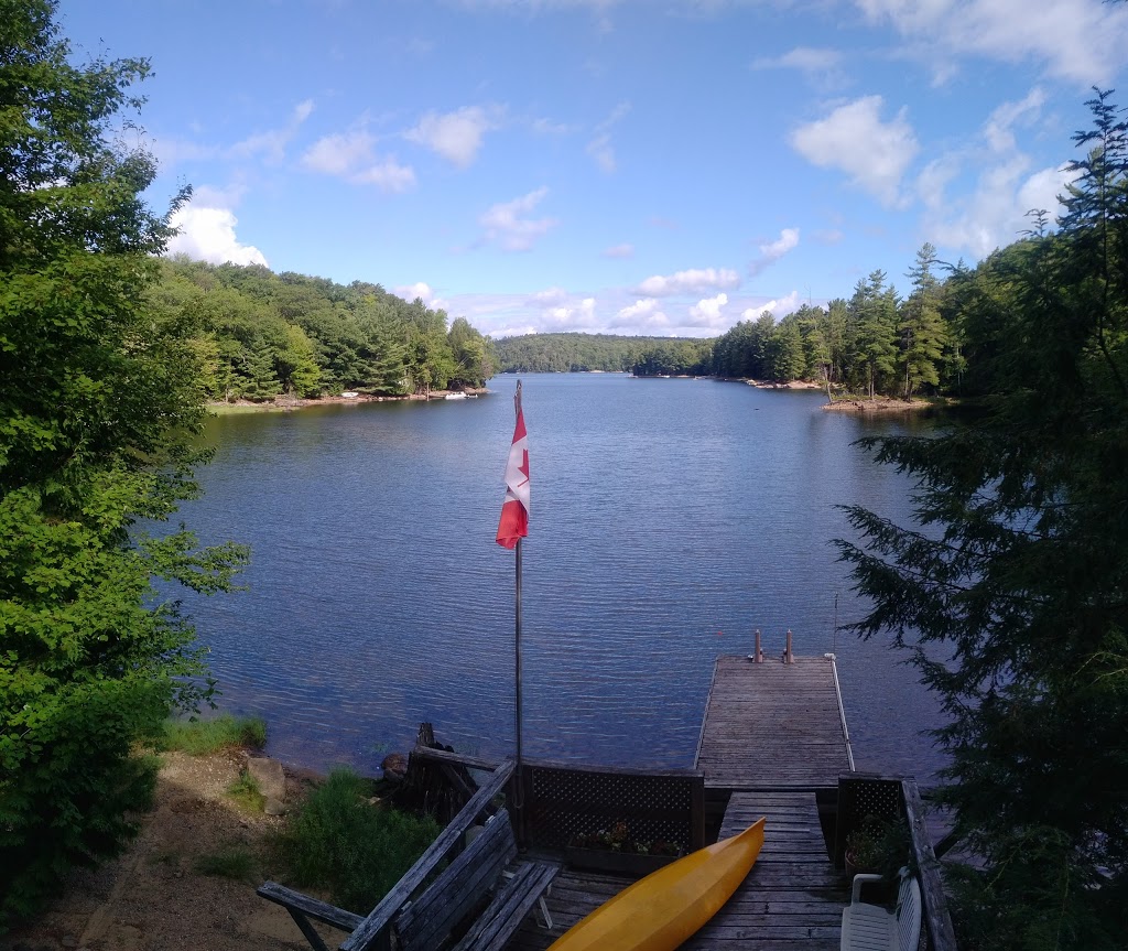 Big Hawk Lake Marina | 1673 Big Hawk Lake Rd, Algonquin Highlands, ON K0M 1J2, Canada | Phone: (705) 489-2429