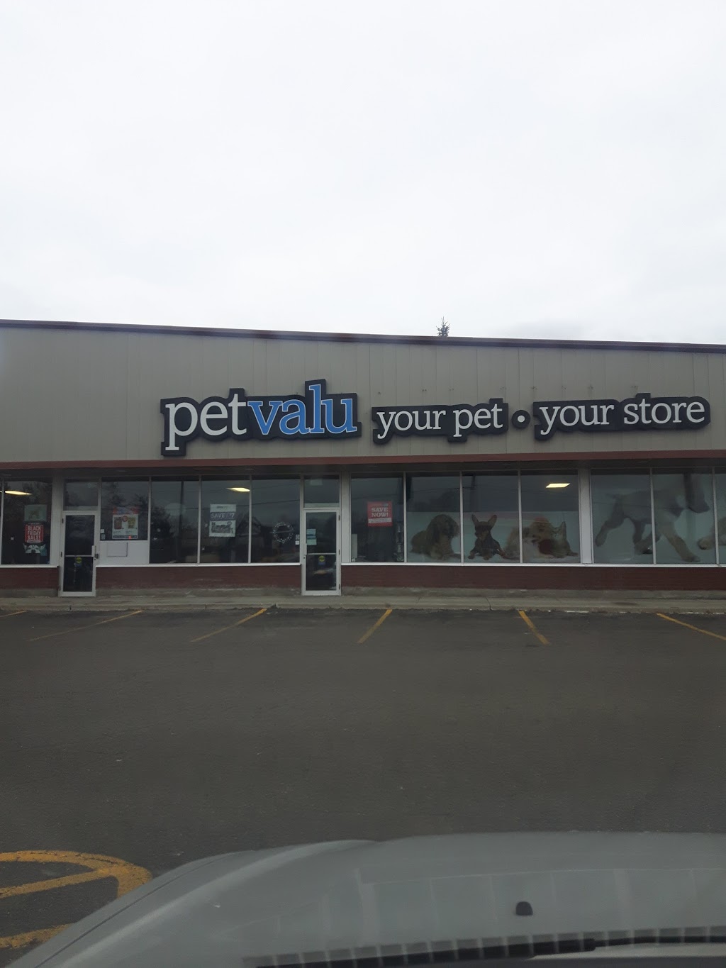 Pet Valu | 3 Arthur St, Arnprior, ON K7S 1A1, Canada | Phone: (613) 623-7403