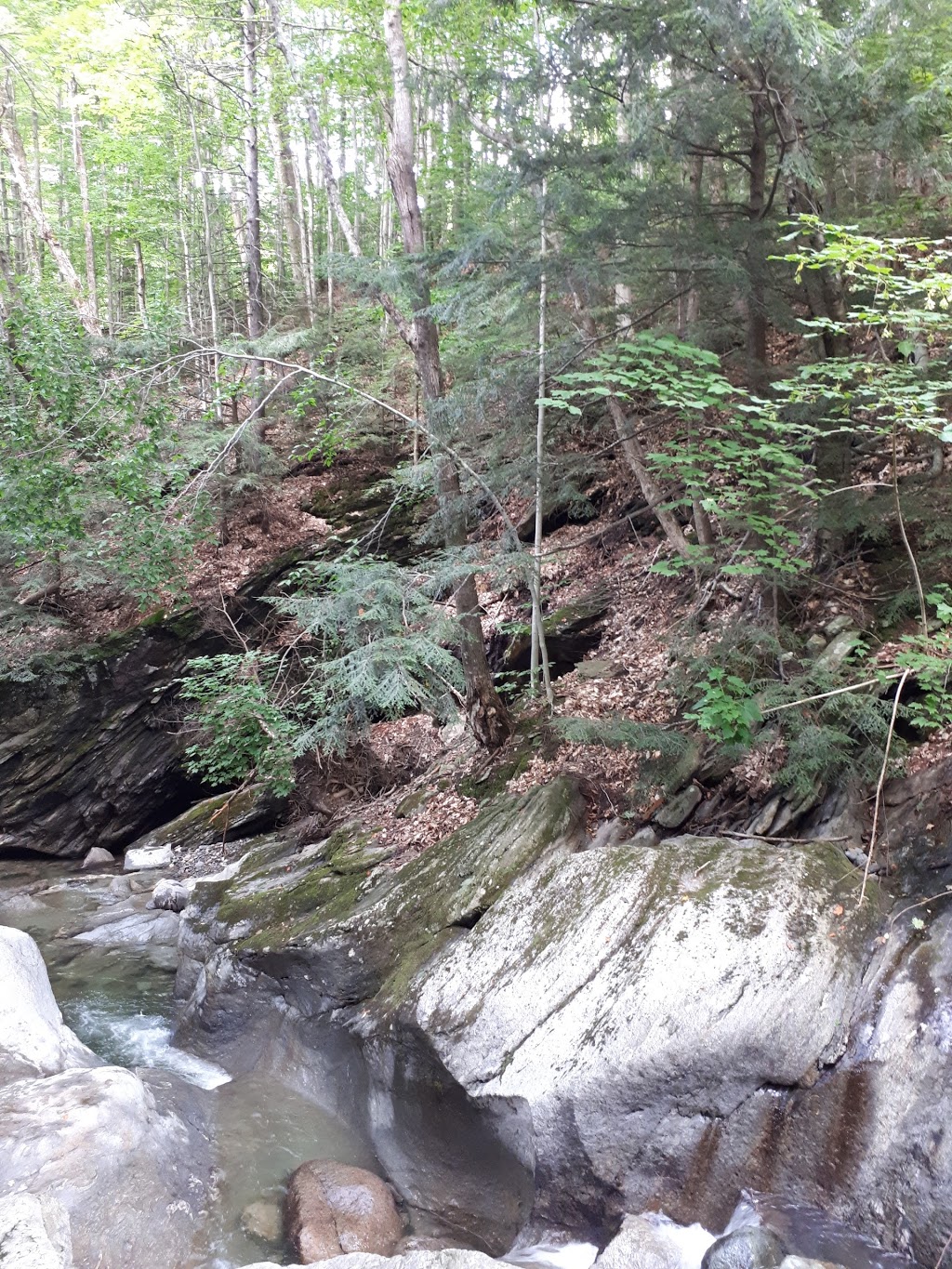 Marmite des sorcières Sutton | 663 Chemin Maple, Sutton, QC J0E 2K0, Canada