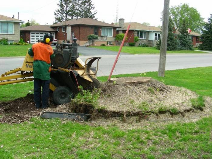 Niagara Tree Service Ltd. | 158 Matthews Rd, Sherkston, ON L0S 1R0, Canada | Phone: (905) 894-1306