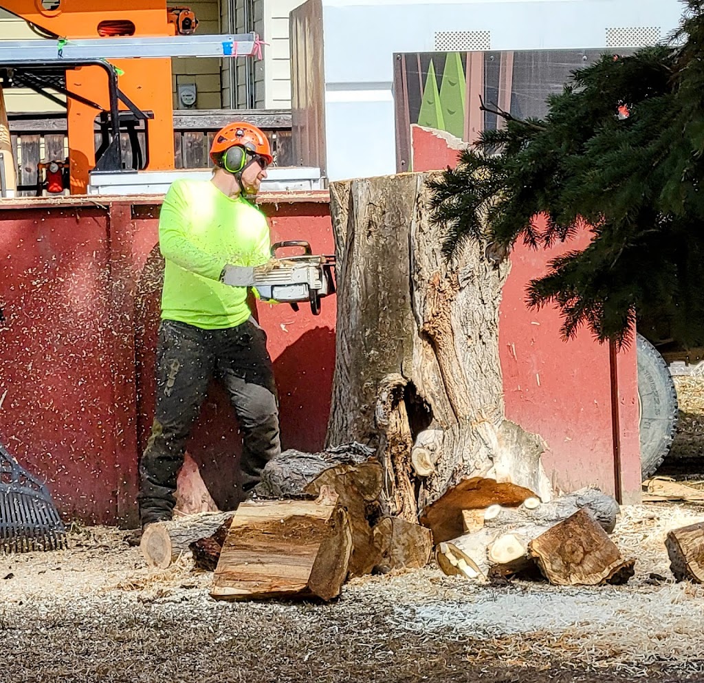 Arbs Tree Service | 56524 Range Rd 231, Sturgeon county, AB T0A 0K0, Canada | Phone: (780) 292-6481