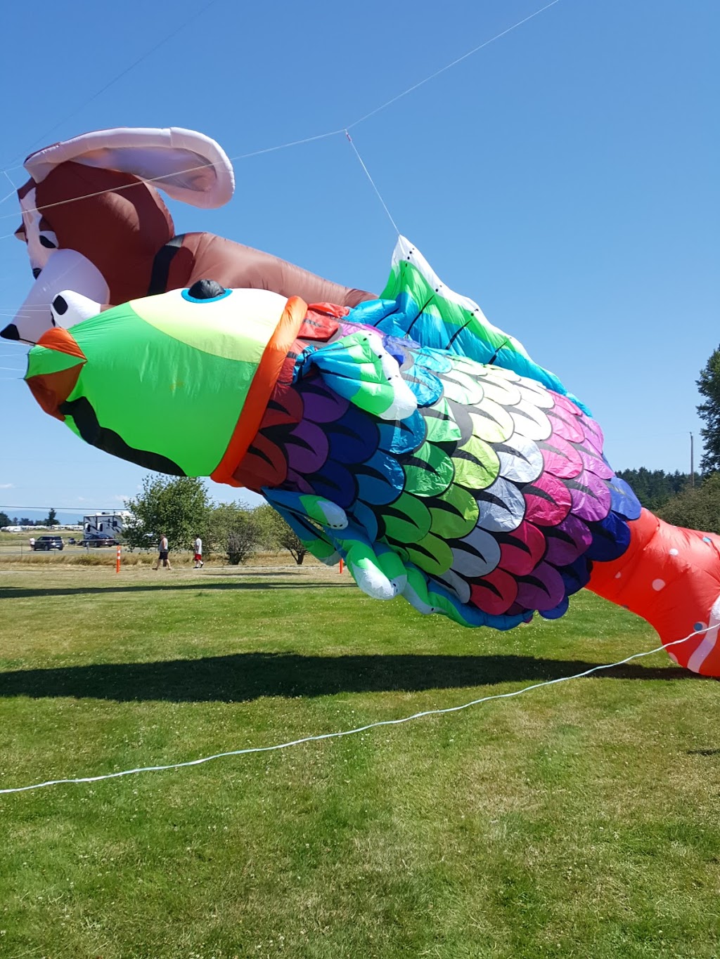 Quality Foods Sand Sculpting Competition and Exhibition | Parksville, BC V9P 0B1, Canada | Phone: (250) 951-2678