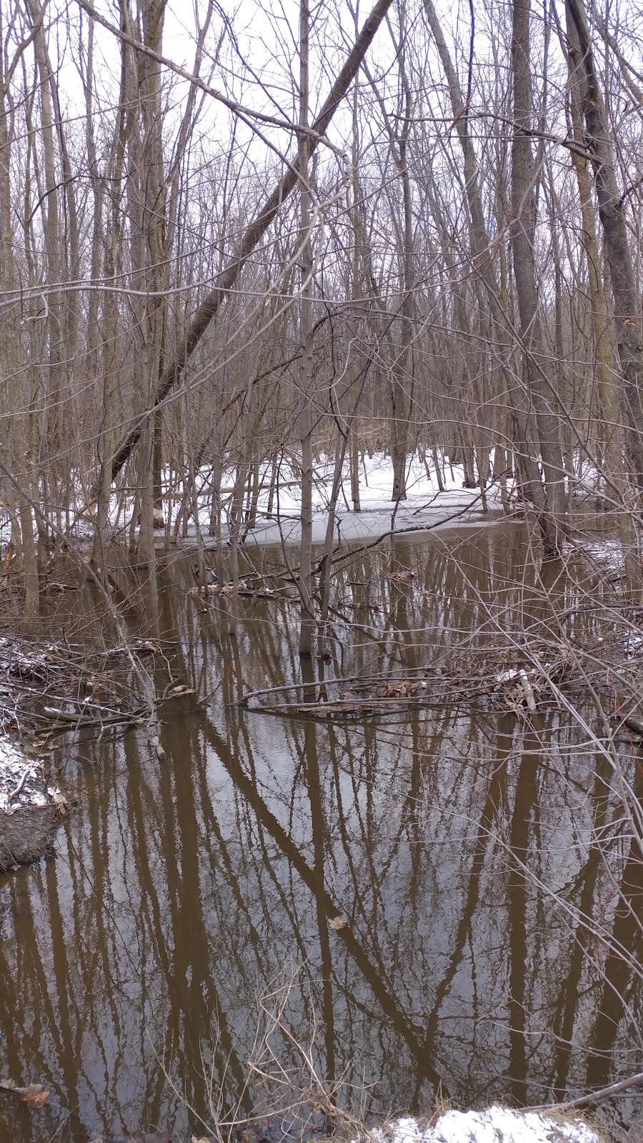 Parc des Bécassines | 6 Boulevard du Domaine, Notre-Dame-de-lÎle-Perrot, QC J7V 7P2, Canada