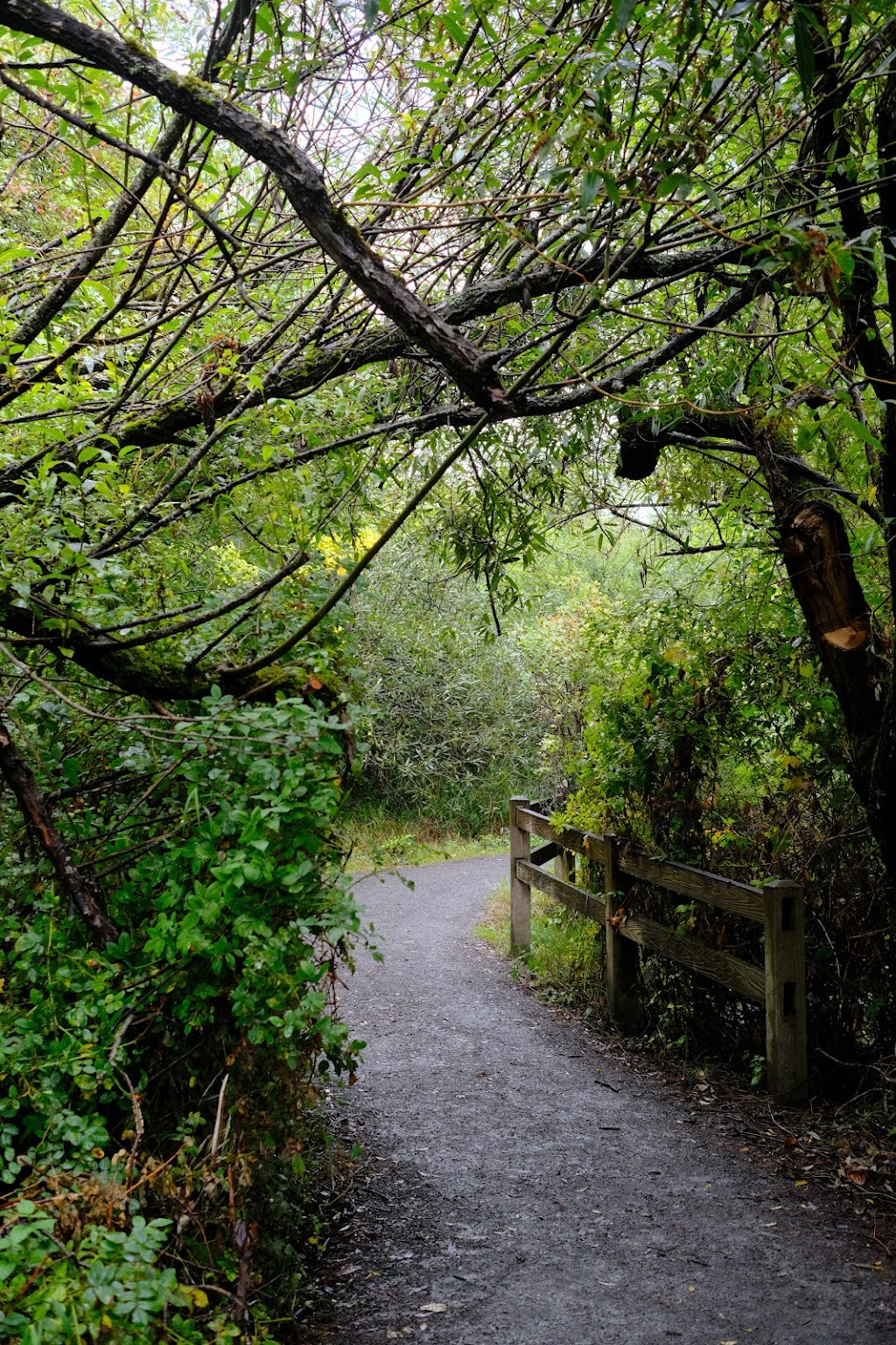 Rithet’s Bog Conservation Society | 4461 Chatterton Way, Victoria, BC V8X 5H7, Canada | Phone: (250) 479-0491